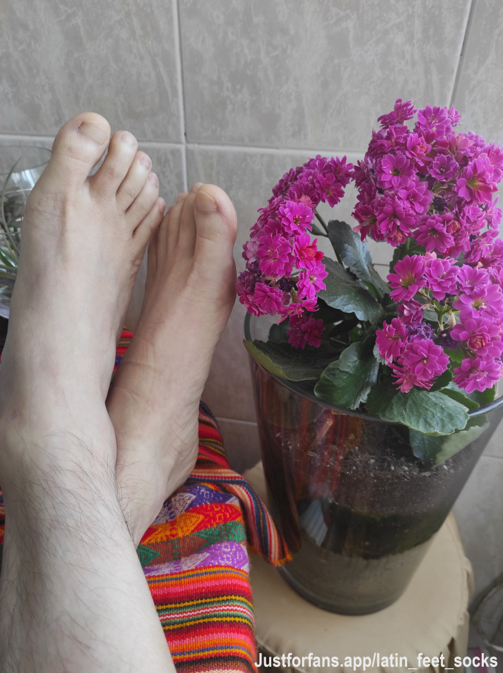 🦶😈 the beautiful of nature... 

#feetfetish #feet #footfetish #toes #soles #foot #sexyfeet #feetlovers #fetish #cutefeet #feetporn #footfetishnation #feetworship #footworship #malefeet #prettyfeet #prettytoes #feetmodel #gayfeet #feetlover #barefeet #feetstagram #feetfetishworld #barefoot #feetpics #shoeplay #footmodel #instafeet #feetlove #dangling