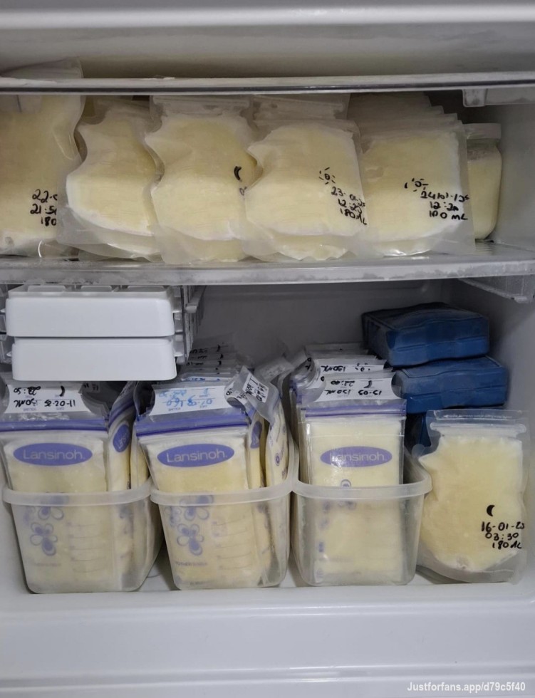 Meu pequeno estoque 🐄